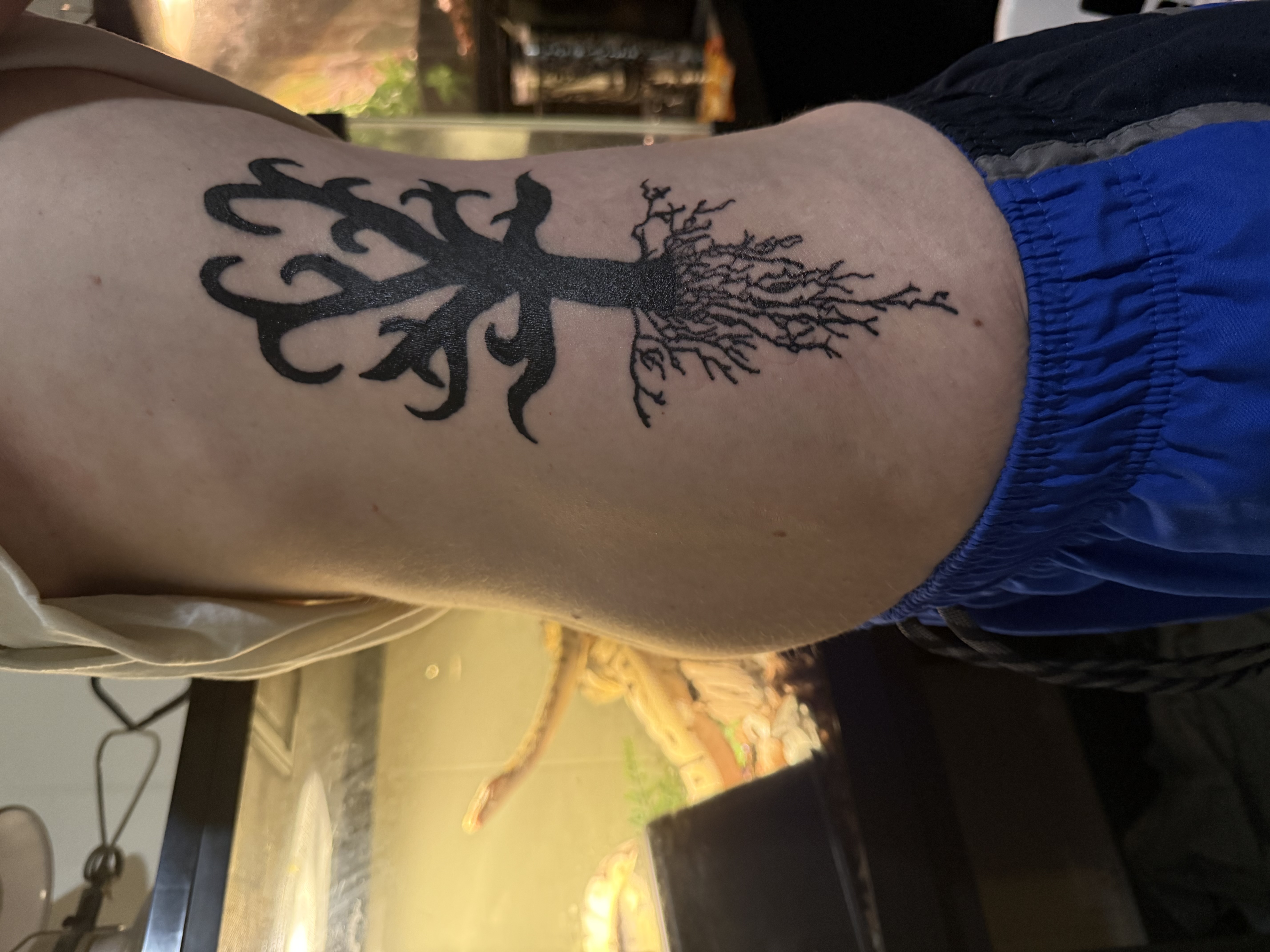 Morgan LeBlanc testimonial photo